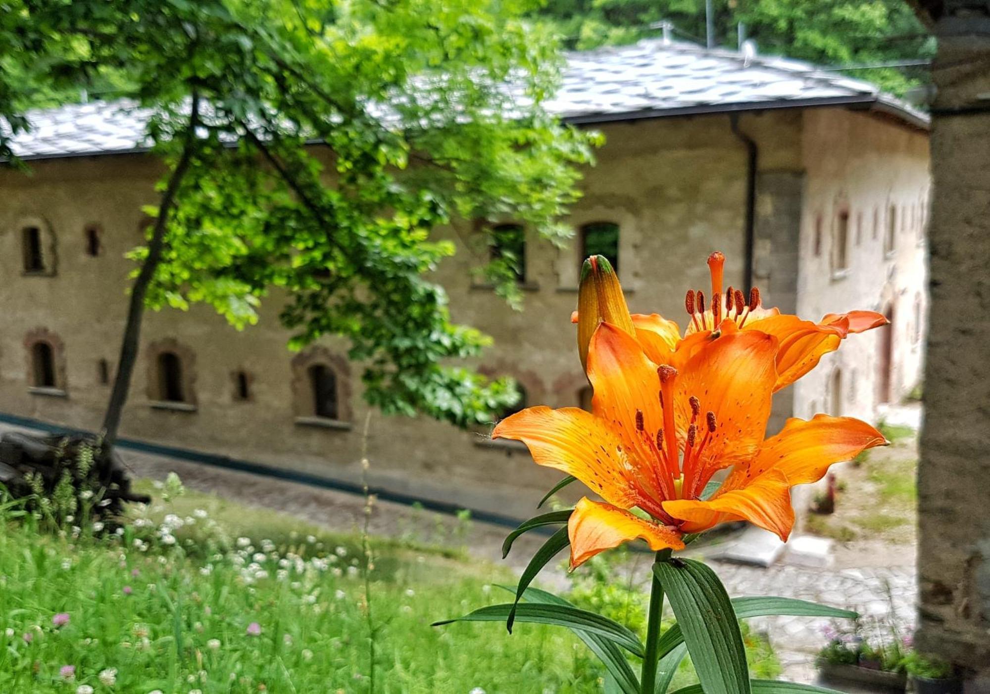 Forte Di Machaby Hostel Arnad Luaran gambar